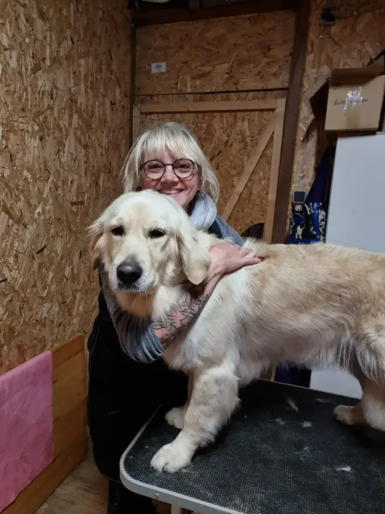 Blonder Retriever auf dem Tisch mit lächelnder Groomerin