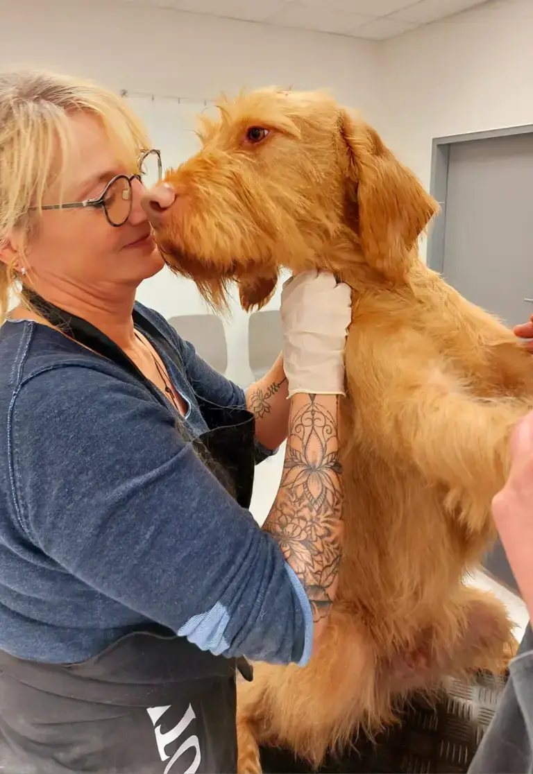 Hund und Tierpflegerin mit inniger Bindung während der Pflege